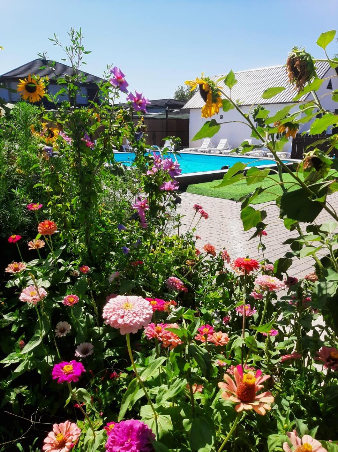 Malibu Guest House Капчагай Екстериор снимка